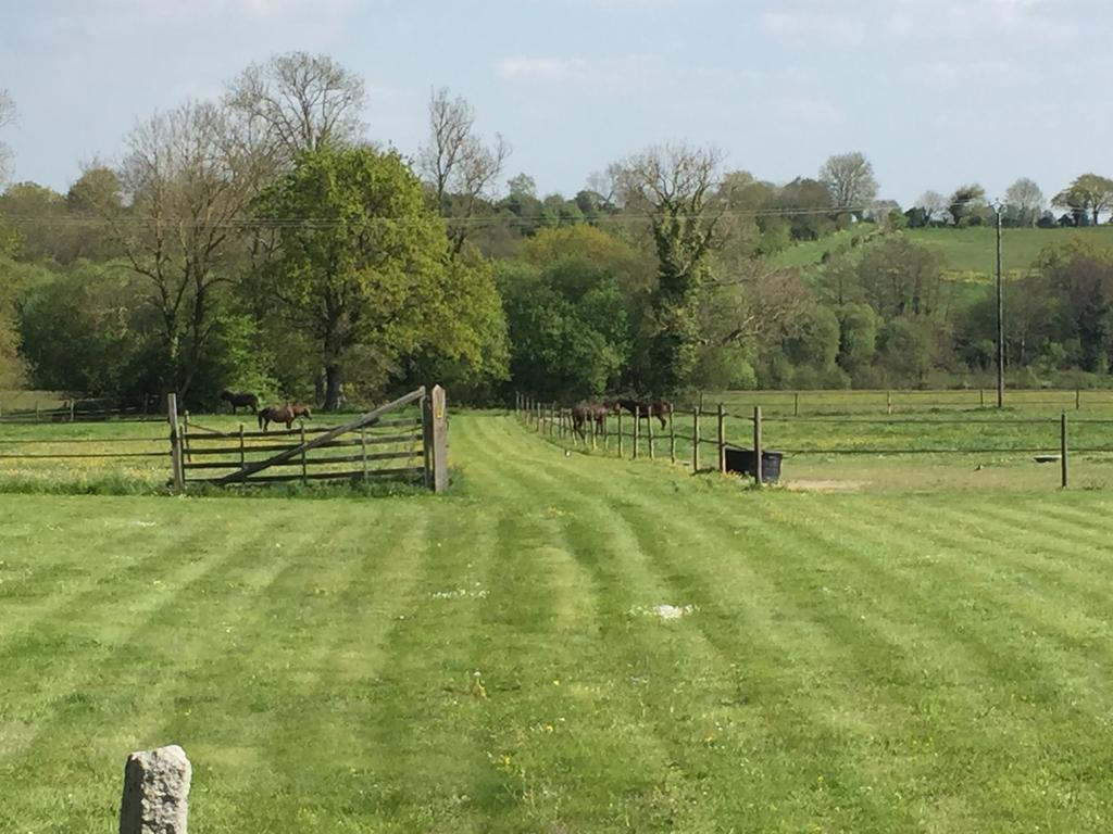 Le Domaine De Belleville Dragey Luaran gambar